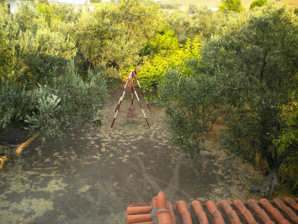 Diamanti Molivos Studios & Apartments Mithimna Extérieur photo
